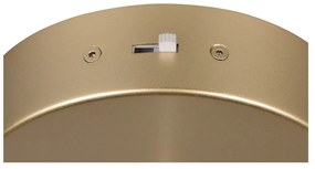 LED висящо осветително тяло в златист цвят ø 30 cm Cala – Trio Select