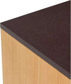 Кафяв скрин от декор от дъб 140x65x35 cm Dual – Hübsch