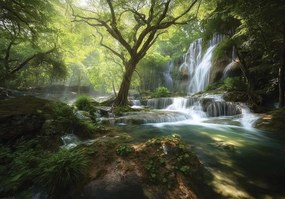 16049 - Фототапет Водопад и река