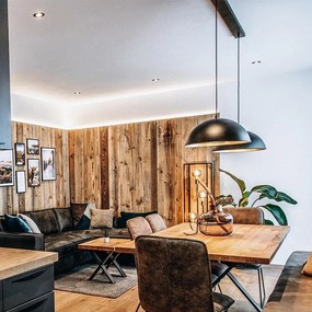 Индустриална висяща лампа черна със злато 2-светлина - Magnax