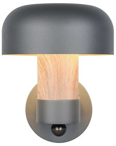 Стенно външно осветително тяло (височина 24,5 cm) Fraser – Trio