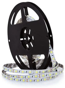 LED Лента 5m LED/10W/12V IP20 бял