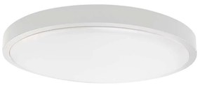 LED Плафон за баня LED/30W/230V 6500K IP44 бял