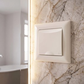 Единичен контакт със заземяване и капаче OSTE JNH005-G Beige