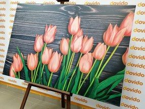 Картина на платно – Омагьосващи оранжеви лалета на дървена основа