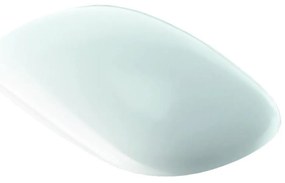 Капак за конзолна тоалетна чиния, 500.540.01.1, Geberit Citterio