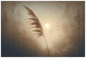 Самозалепващ тапет – Пампасна трева в сутрешна мъгла