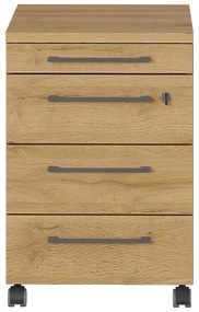 Дъбов шкаф в естествен цвят 42x61 cm Agenda - Germania