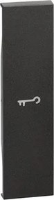 BTICINO Лицев панел за ключ със символ "ключ" 1 мод. цвят Черен LNow - KG01F
