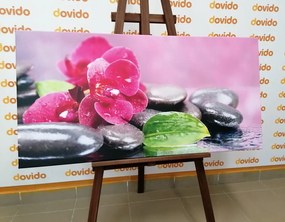 Картина на платно – Орхидея с релаксиращ дух