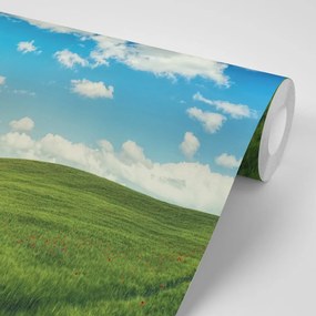 Фототапет – Прекрасен ден на ливада