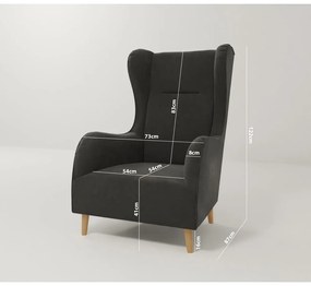 Тъмносиво кадифено кресло Carole - Ropez