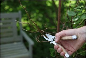 Многофункционални градински ножици от ясеново дърво Pond - Esschert Design