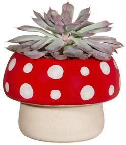 Каменна тенджера ø 12 cm - Sass & Belle