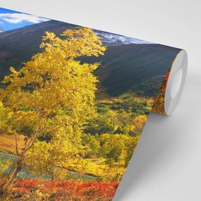 Фототапет – Красива природа в Камчатка