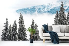 Фототапет – Заснежени борови дървета