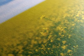 Картина на платно – Жълто поле