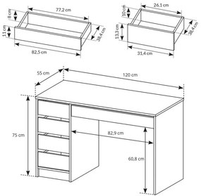 Тоалетна масичка Courtney-Anthraki