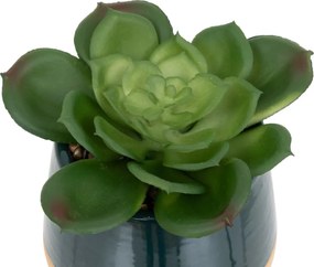 Изкуствено растение atmosphera Be Vintage, 12 cm, Различни видове