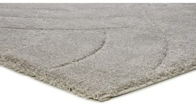 Светлосив килим 160x230 cm Molier – Universal