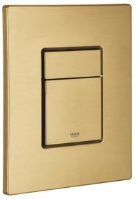 Бутон 38732GN0, Skate Cosmopolitan