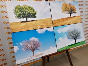 Картина на платно – Дърво през сезоните