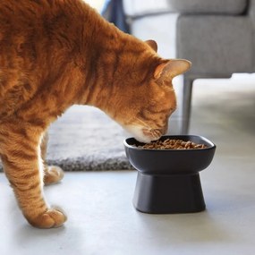 Керамична купа за всички любимци Tower – YAMAZAKI