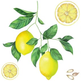 Декоративни стикери за стена Lemons M