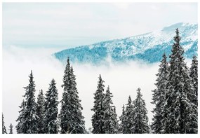 Самозалепващ фототапет – Заснежени борови дървета