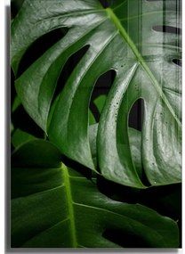Картина върху стъкло 50x70 cm Monstera - Wallity
