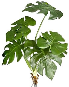 Декоративни палмови листа Monstera  (3 τεμάχια)