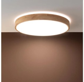 Brilliant - LED с възможност за димиране таванно осветително тяло SLIMLINE LED/60W/230V + дистанционно управление