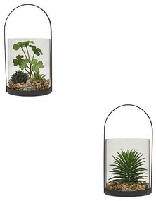 Изкуствено растение atmosphera Wilo Hanging Terrarium, 19 cm, Различни видове