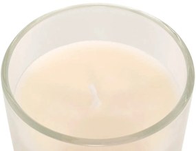 Ароматна свещ atmosphera Floa, Стъкло, 115 g - Monoi