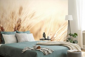 Самозалепващ фототапет – Пшенично поле