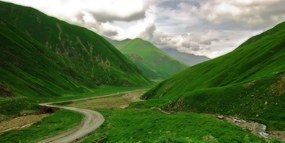 Картина на платно – Зелена природа