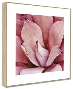 Плакат 22,5х22,5 см Flowers