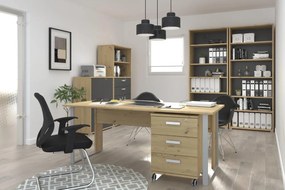 Библиотечка Svenson-Височина: 209 см.