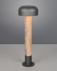 Колонно външно осветително тяло ø 19 cm Fraser – Trio