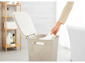 Бежов пластмасов кош за пране 50 л Brisen - Rotho