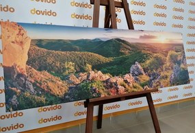 Картина на платно – Природа, залята от слънце