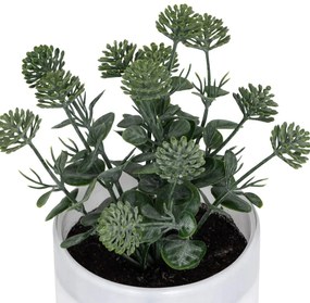 Изкуствено растение atmosphera Tayli Succulent, 18 cm, Различни видове