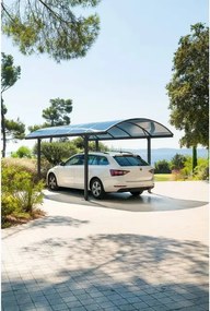 Навес за кола Hesperide Belize, Поликарбонат и алуминий, Графит, 5x3м
