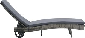 47753 vidaXL Шезлонг на колелца с шалте, полиратан, антрацит