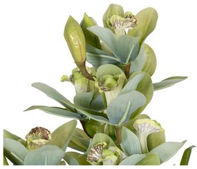 Изкуствено растение (височина 110 cm) Orchid – Ixia