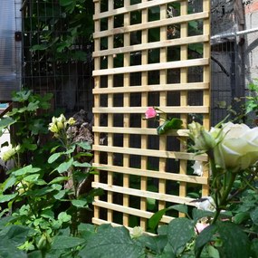 Ограда за катерене 6x6-90 x 180 cm