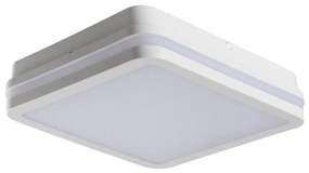 Kanlux 33346 - Екстериорна LED лампа със сензор BENO LED/24W/230V 4000K бяла IP54