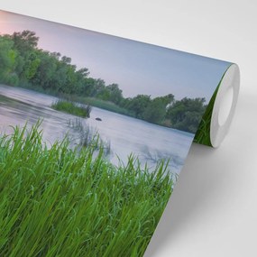 Фототапет – Изгрев край река