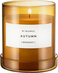 Ароматна свещ от соев восък с време на горене 45 час Valoa Autumn – Blomus