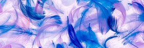 Картина на платно – Прекрасни пера